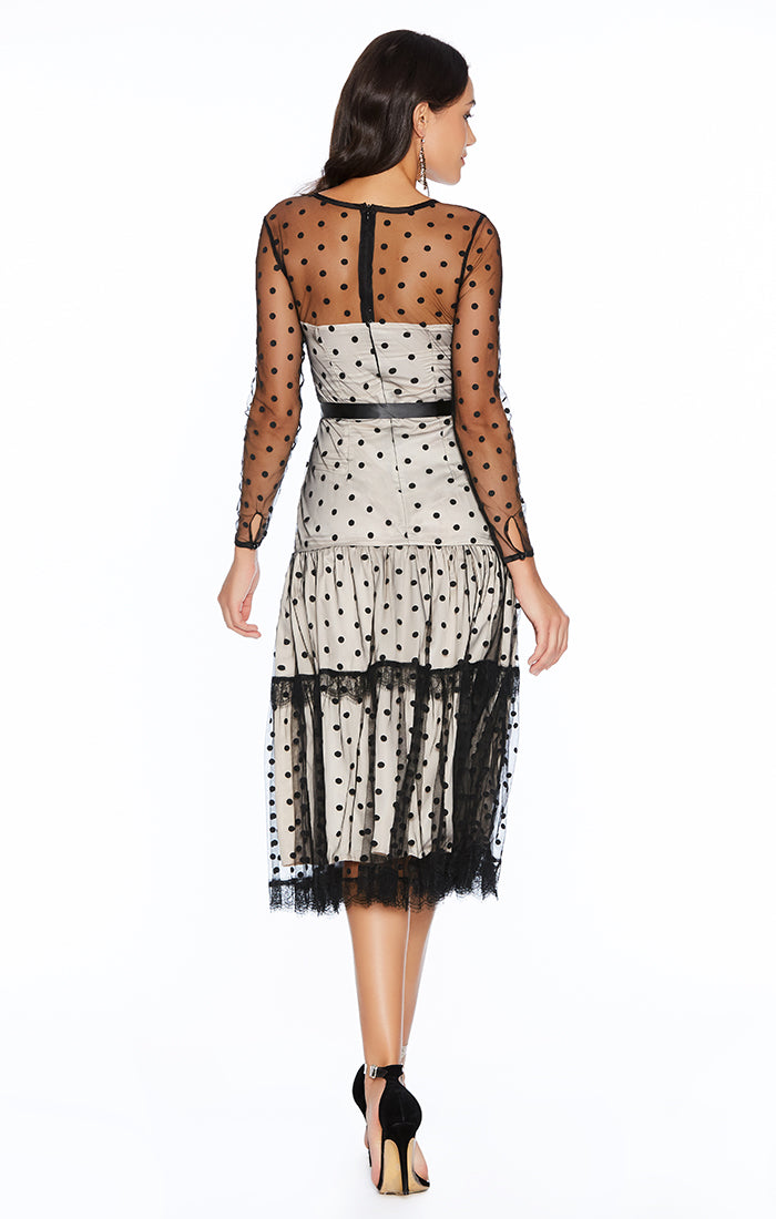 Polka Dot See-Through Maxi Dress